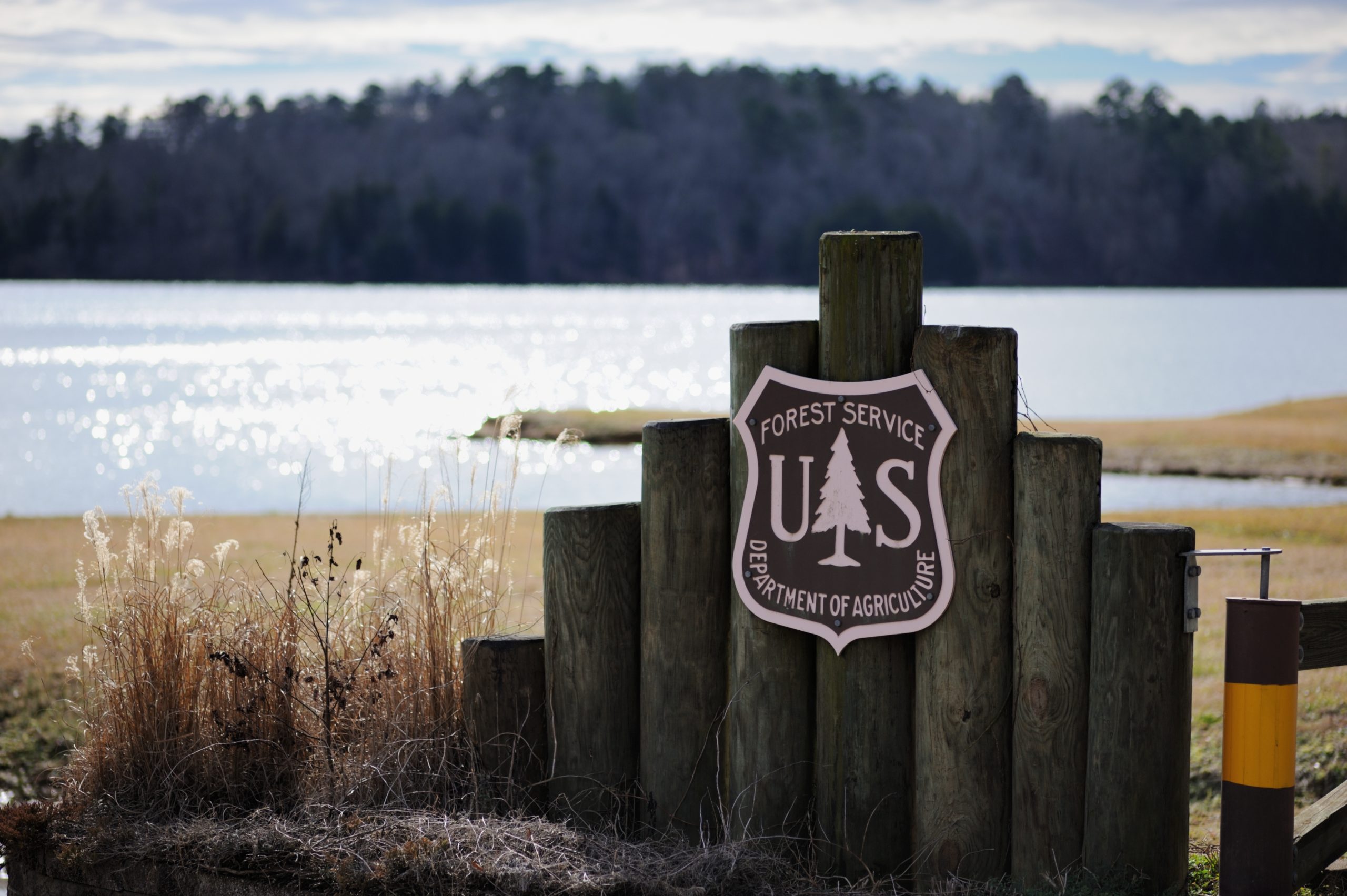 United States Forest Service sign on a wooden fence by water.